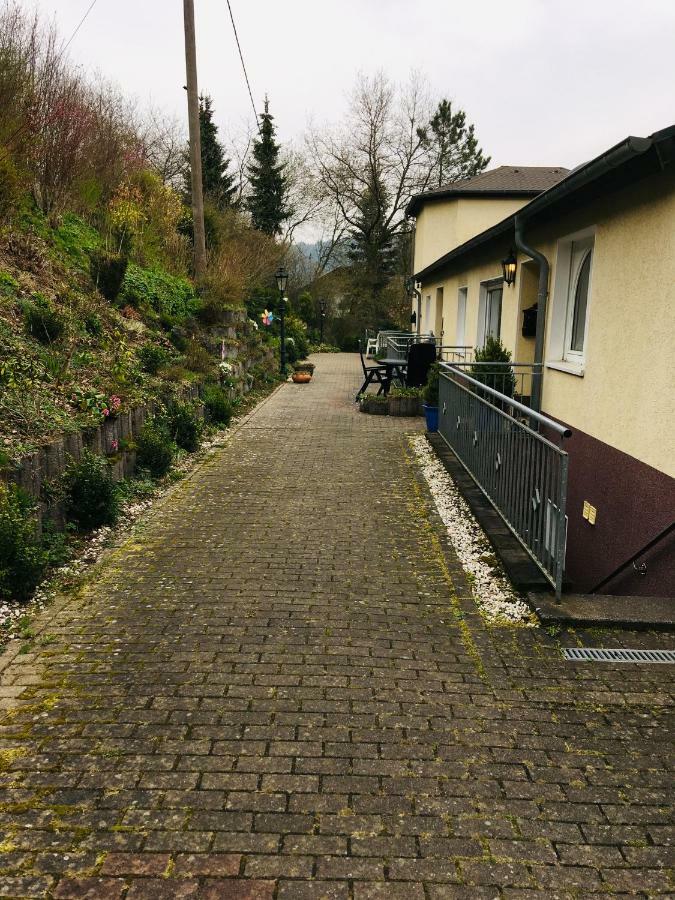 Ferienwohnung Am Nuerburgring/Wintersport Arft Acht エクステリア 写真