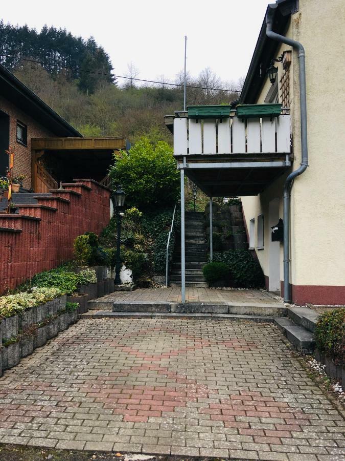 Ferienwohnung Am Nuerburgring/Wintersport Arft Acht エクステリア 写真