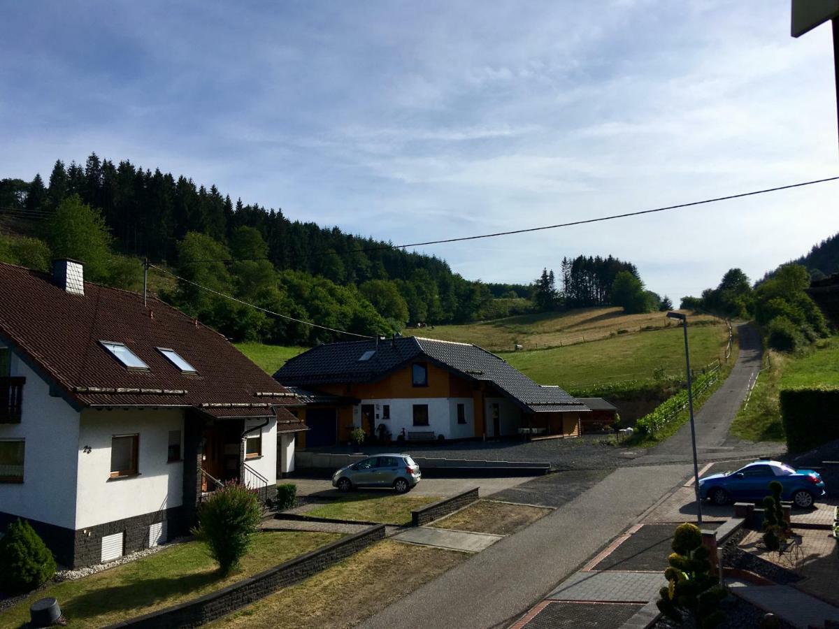 Ferienwohnung Am Nuerburgring/Wintersport Arft Acht エクステリア 写真