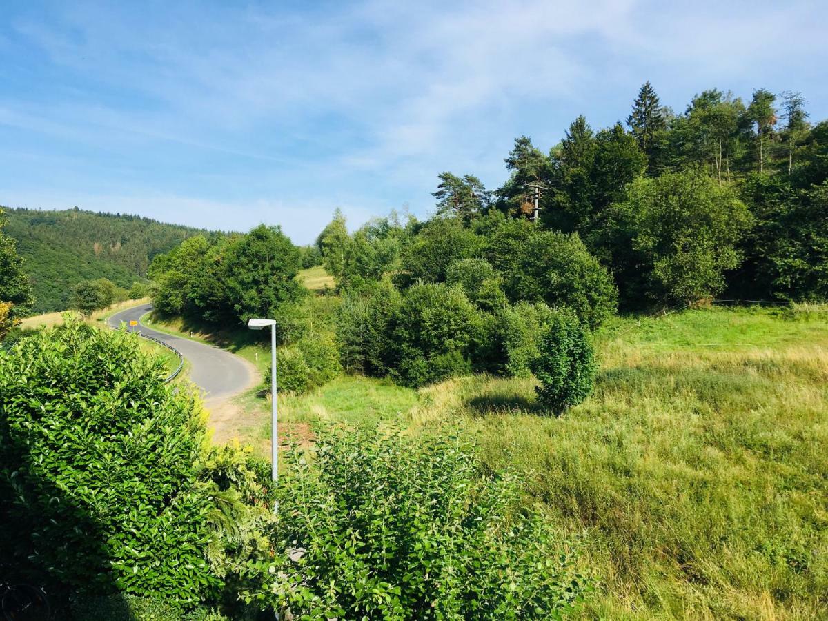 Ferienwohnung Am Nuerburgring/Wintersport Arft Acht エクステリア 写真